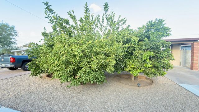 11427 N 112TH Drive, Youngtown, AZ 85363