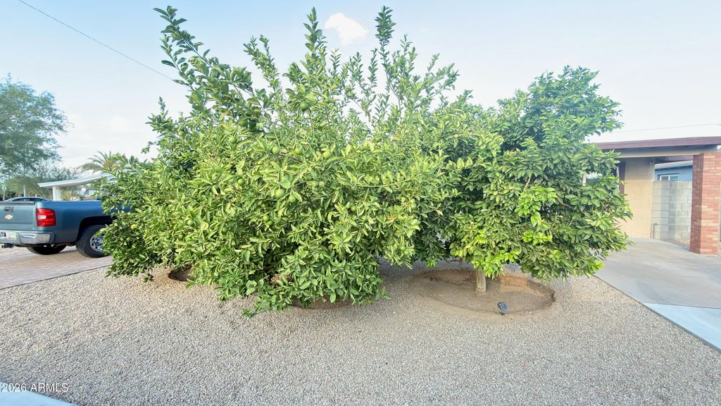 11427 N 112TH Drive, Youngtown, AZ 85363 — photo 3