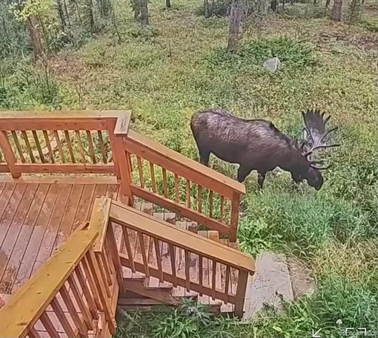 384 Blue Ridge Road, Breckenridge, CO 80424