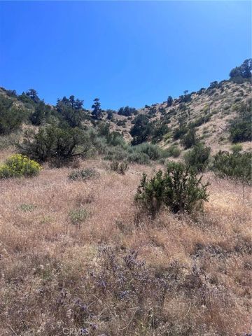 0 Jack Frost, Pinon Hills, CA 92372