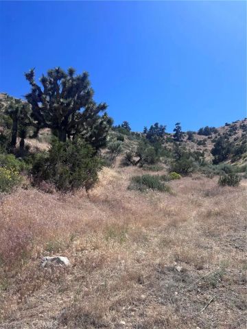0 Jack Frost, Pinon Hills, CA 92372