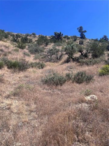 0 Jack Frost, Pinon Hills, CA 92372