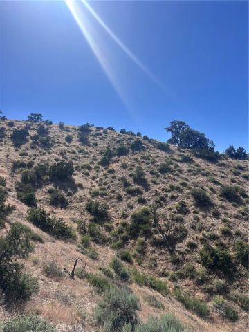 0 Jack Frost, Pinon Hills, CA 92372