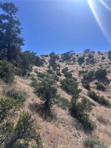 0 Jack Frost, Pinon Hills, CA 92372
