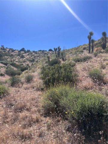 0 Jack Frost, Pinon Hills, CA 92372