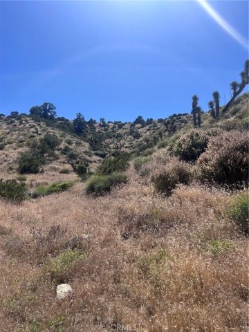 0 Jack Frost, Pinon Hills, CA 92372