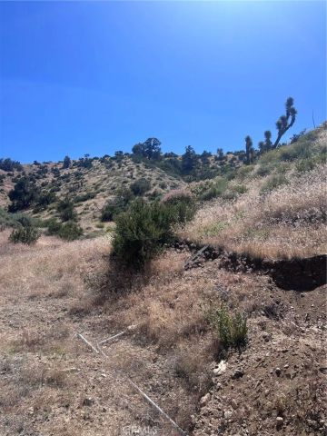 0 Jack Frost, Pinon Hills, CA 92372