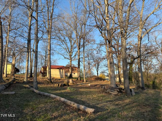 425 Buttermilk Road, Gray, TN 37615