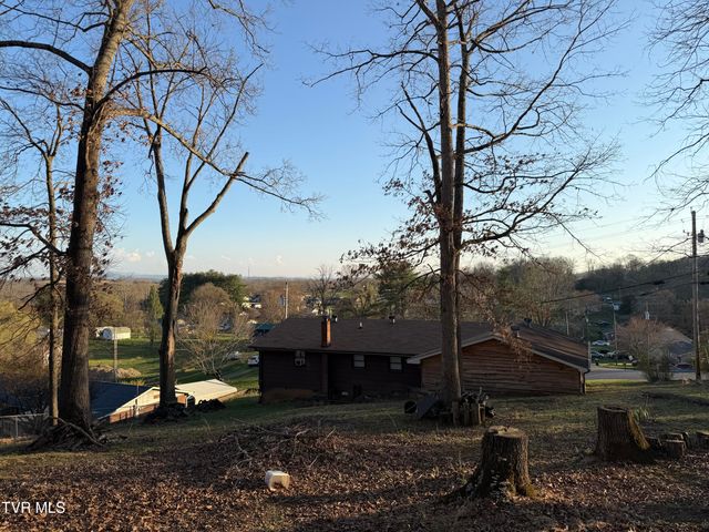 425 Buttermilk Road, Gray, TN 37615