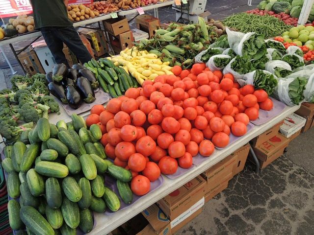 6025 SHORE BOULEVARD S 110, Gulfport, FL 33707