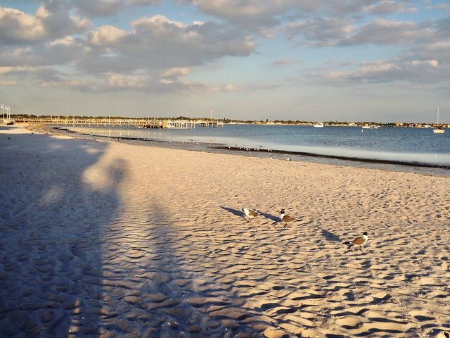 6025 SHORE BOULEVARD S 110, Gulfport, FL 33707