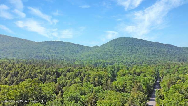 209 Griffin Road, East Jewett, NY 12424