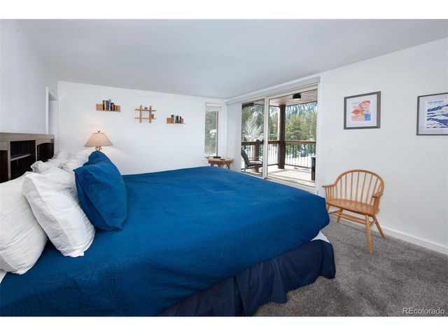 352 Wild Irishman Rd 1907, Keystone, CO 80435