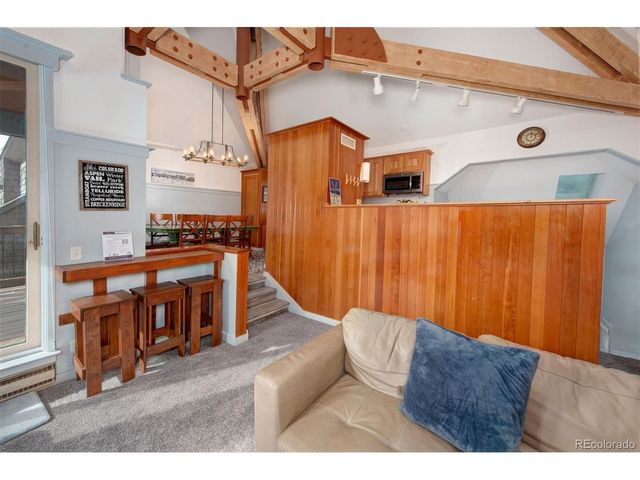 352 Wild Irishman Rd 1907, Keystone, CO 80435