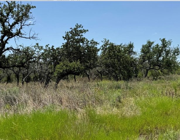 TBD PR 6332, Indian Gap, TX 76531