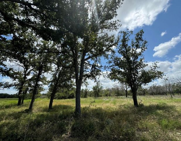 TBD PR 6332, Indian Gap, TX 76531