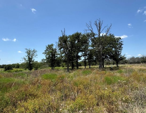 TBD PR 6332, Indian Gap, TX 76531