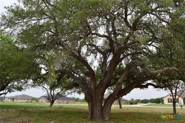 425 County Road 3152, Kempner, TX 76539