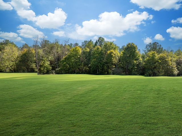 0 Old County House Road, Charlotte, TN 37036