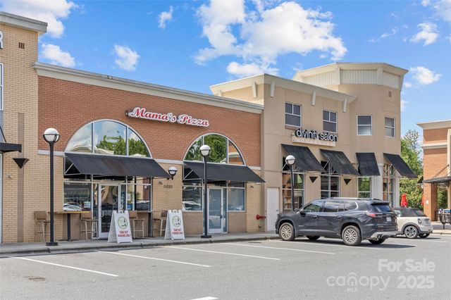 3017 Stevens Schultz Lane, Matthews, NC 28104