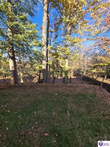 118 Sawgrass Avenue, Vine Grove, KY 40175