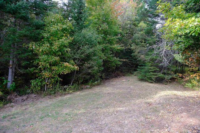 2536 Joes Brook Road, Danville, VT 05828