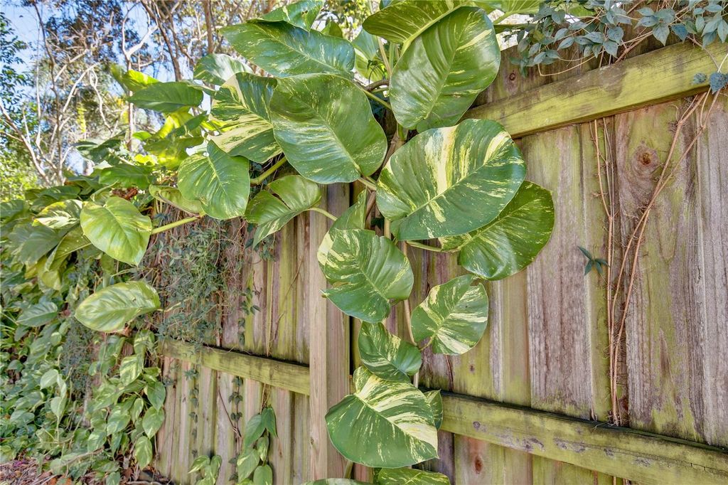 Image 31 of property listing at 427 SUNGLOW COURT, Orlando, FL 32803