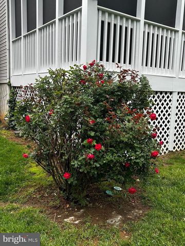 300 ARCHER CT, Berryville, VA 22611