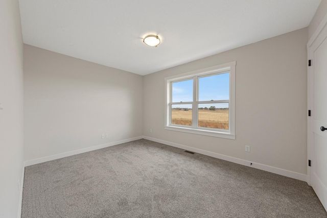 809 Viburnum Street, Belle Plaine, MN 56011