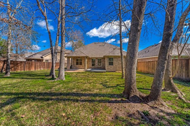 146 Black Swan Place, The Woodlands, TX 77354