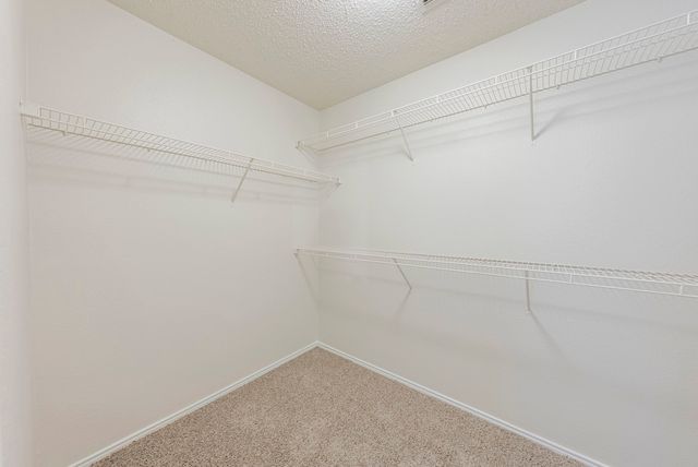 2454 Meadowgate Lane, Lancaster, TX 75134