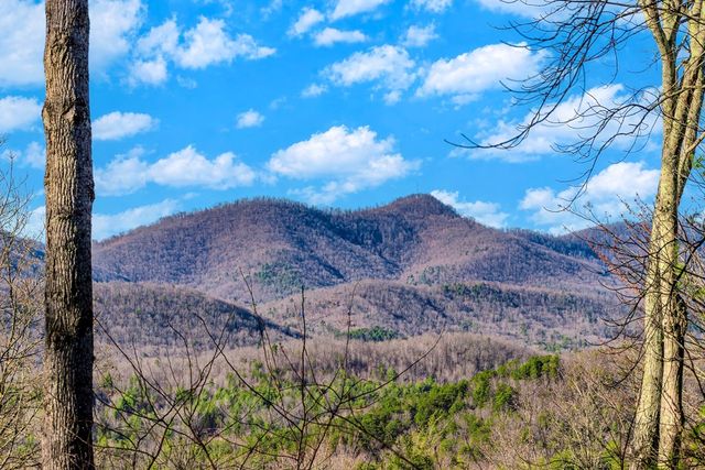 25 Unaka Trail, Mineral Bluff, GA 30559