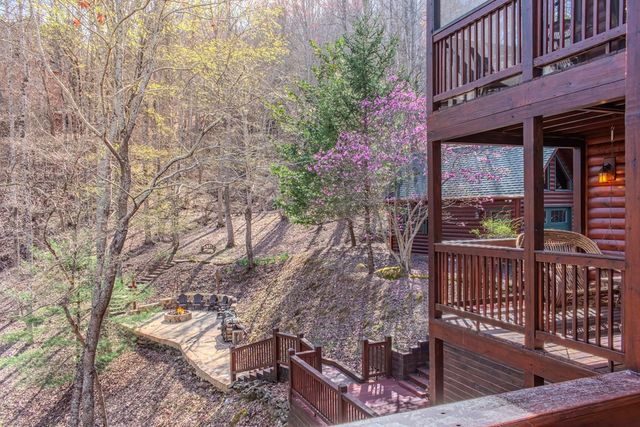 25 Unaka Trail, Mineral Bluff, GA 30559