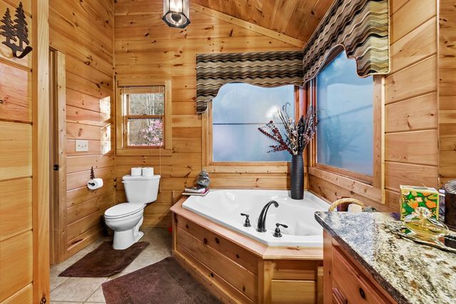 25 Unaka Trail, Mineral Bluff, GA 30559