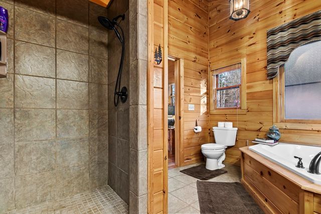 25 Unaka Trail, Mineral Bluff, GA 30559