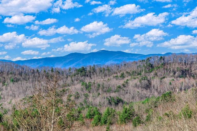 25 Unaka Trail, Mineral Bluff, GA 30559