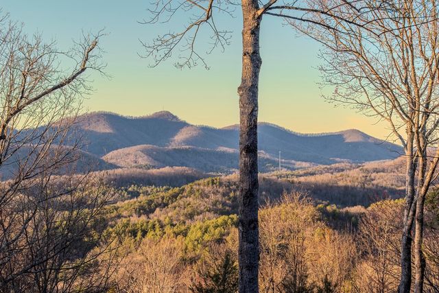 25 Unaka Trail, Mineral Bluff, GA 30559