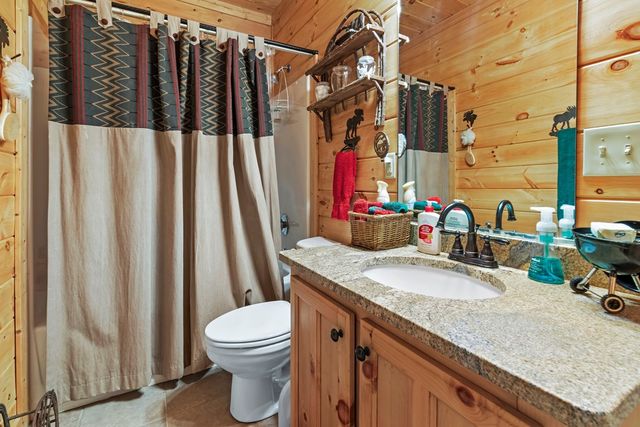 25 Unaka Trail, Mineral Bluff, GA 30559