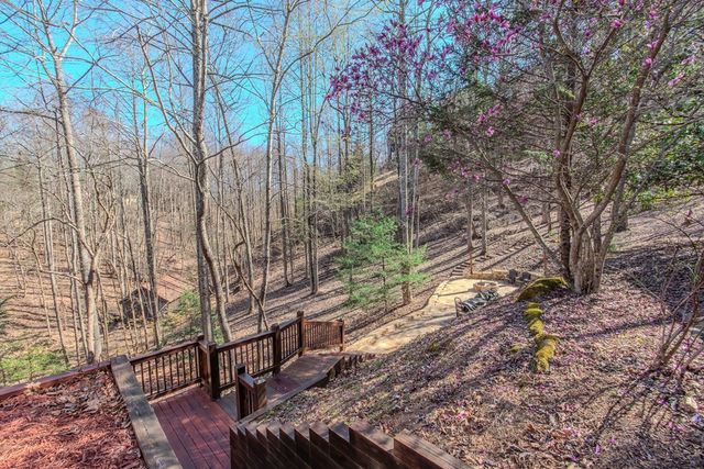 25 Unaka Trail, Mineral Bluff, GA 30559
