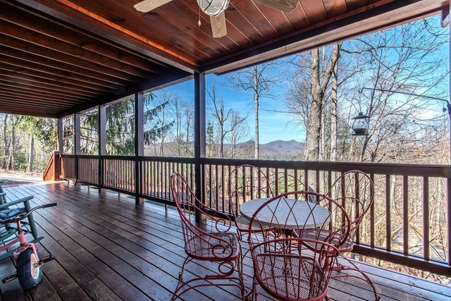 25 Unaka Trail, Mineral Bluff, GA 30559