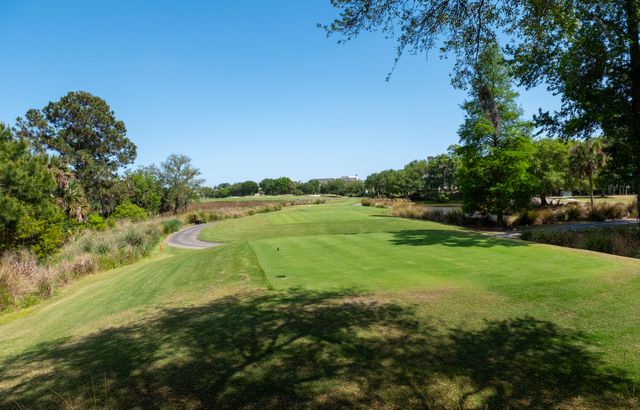 250 Island Park Drive 202, Charleston, SC 29492