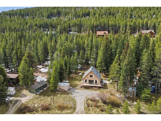 201 Silver Creek Rd, Idaho Springs, CO 80452