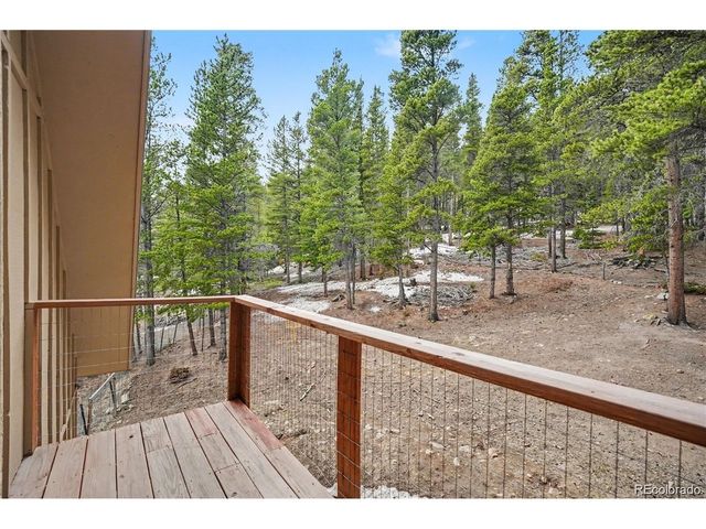 201 Silver Creek Rd, Idaho Springs, CO 80452