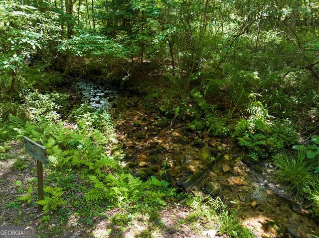 135 The Builders Hill, Morganton, GA 30560