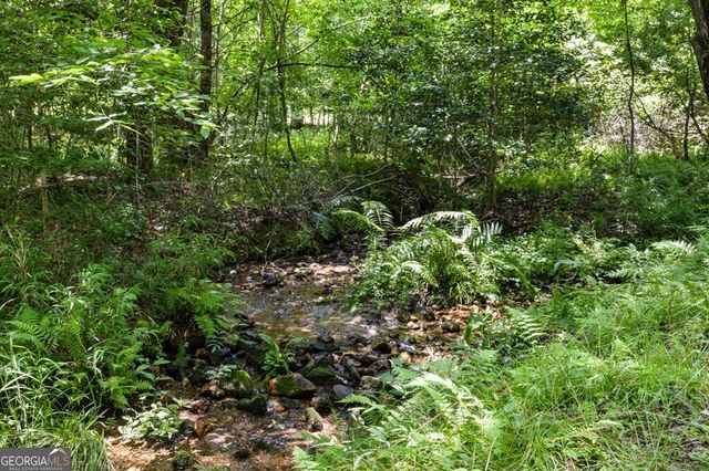 135 The Builders Hill, Morganton, GA 30560