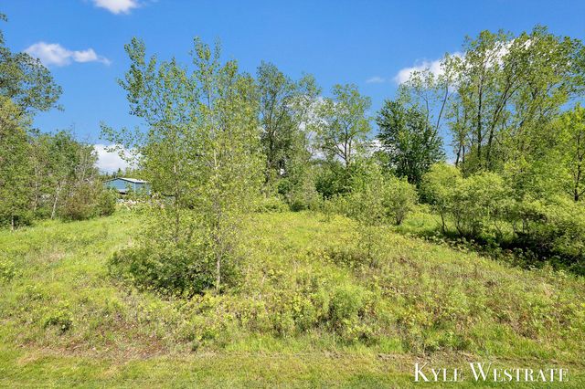 10886 Douglas Drive, Allendale, MI 49401