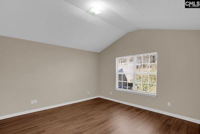 115 Merowey Court, Chapin, SC 29036