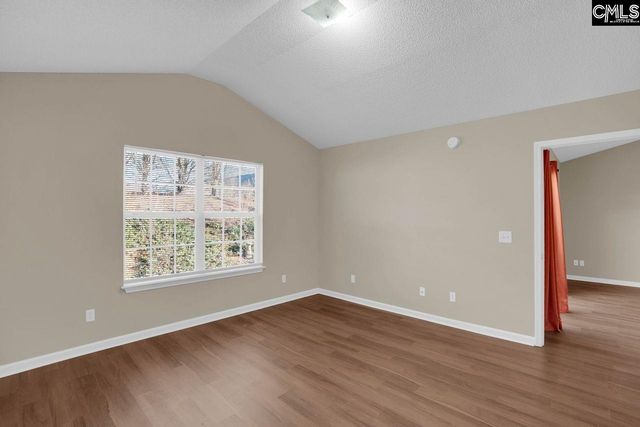 115 Merowey Court, Chapin, SC 29036