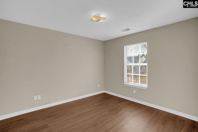 115 Merowey Court, Chapin, SC 29036