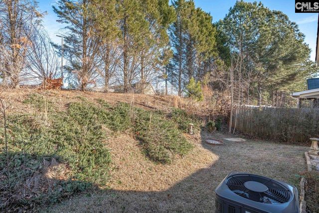 115 Merowey Court, Chapin, SC 29036